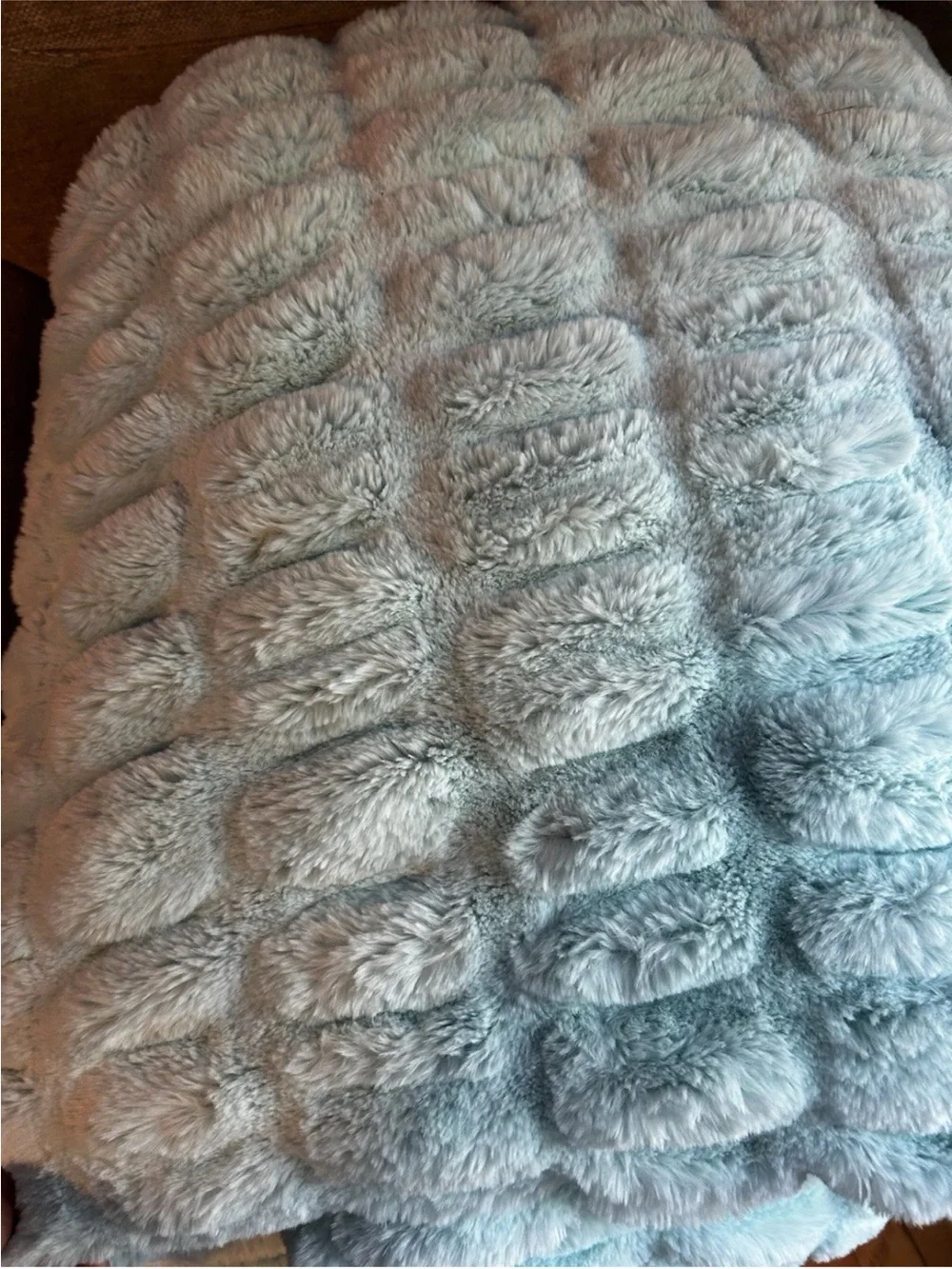 NWOT Minky Holic super soft Blanket - Seafoam Blue